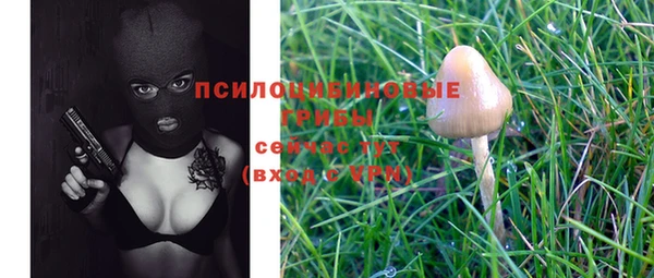 хмурый Наволоки