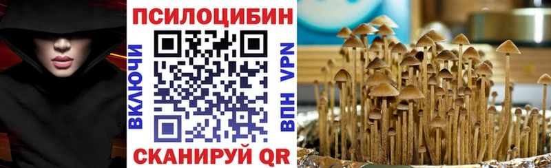 Галлюциногенные грибы Psilocybine cubensis  Чусовой 