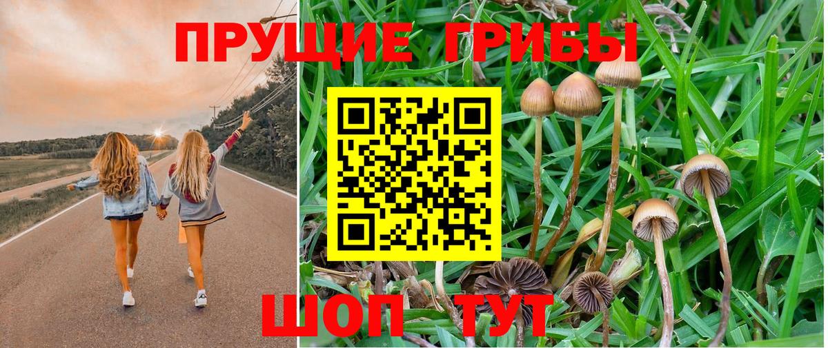 Галлюциногенные грибы мицелий  Вход с VPN  Псилоцибиновые грибы мухоморы  Чусовой 